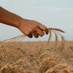 FOSS Pre-Harvest 2026